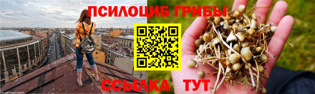 Новоалтайск  Галлюциногенные грибы мицелий  Вход с VPN 