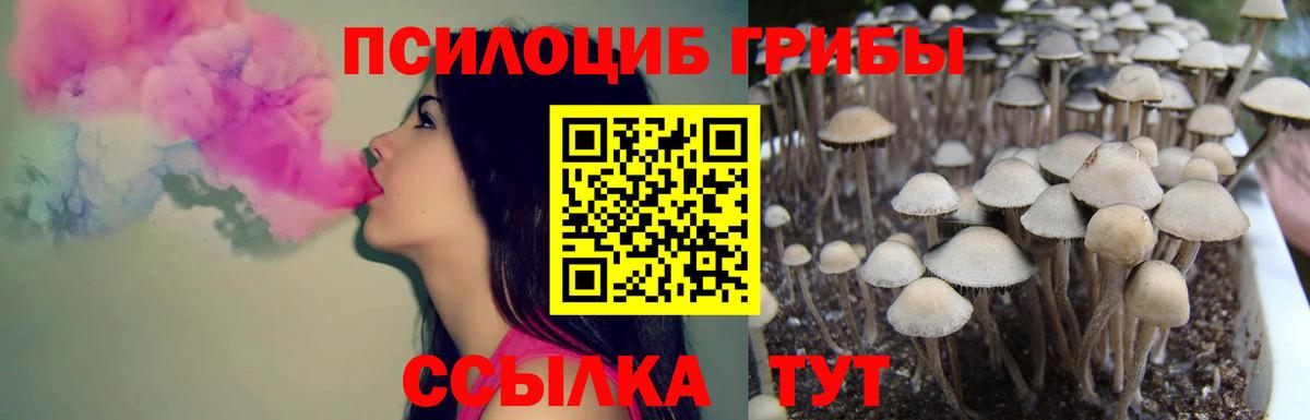 Галлюциногенные грибы Magic Shrooms Новоалтайск